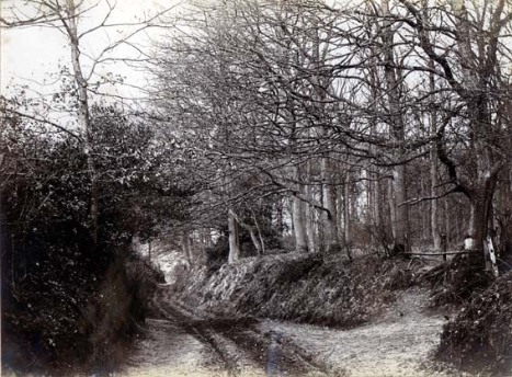 Sandy Lane